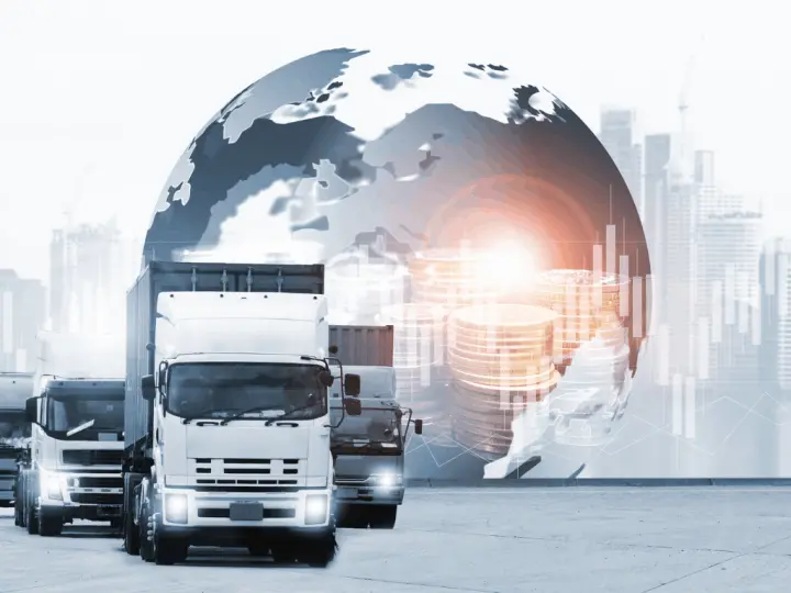 IMPORT MANAGER